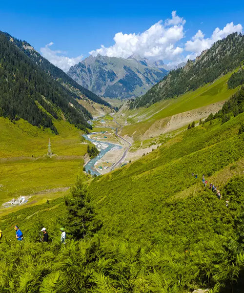 From the Valley of Kashmir